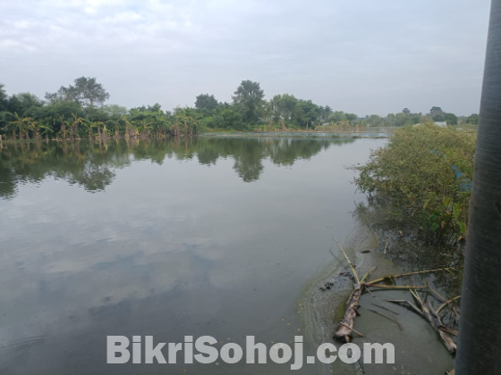 অল্প দামে ৫০ শতক বিক্রয় হবে